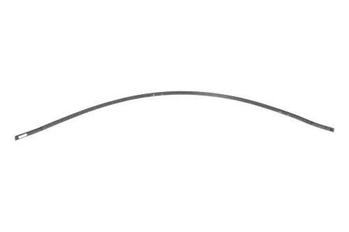 Right molding on roof